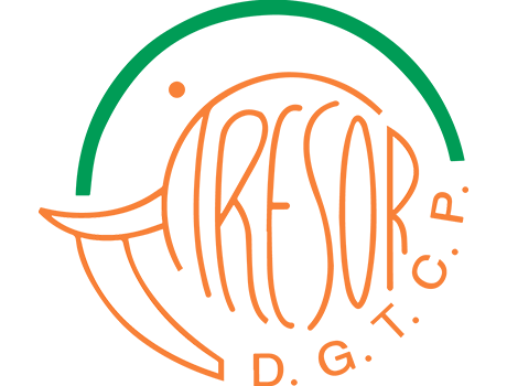 Image partenaire Tresor Public